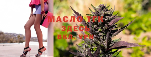 гидра Новозыбков