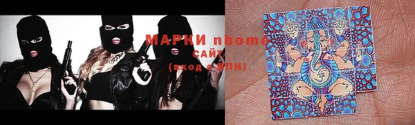 амф Новокубанск