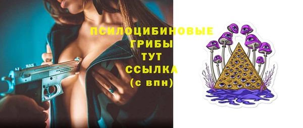 соль курить ск Новодвинск