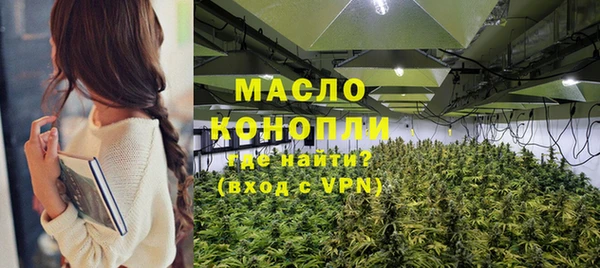 гидра Новозыбков