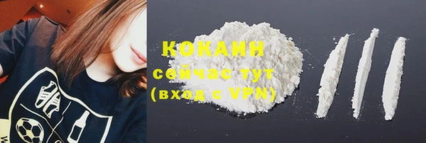 гидра Новозыбков