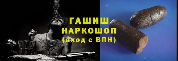 гидра Новозыбков