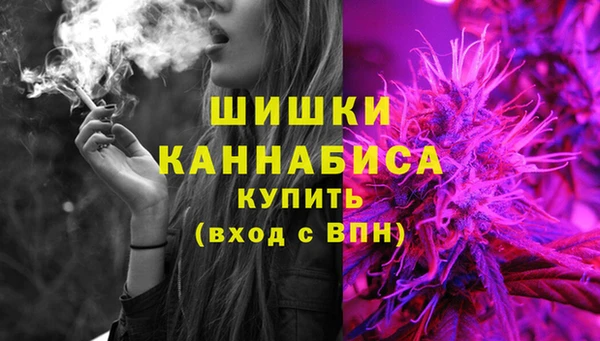 гидра Новозыбков