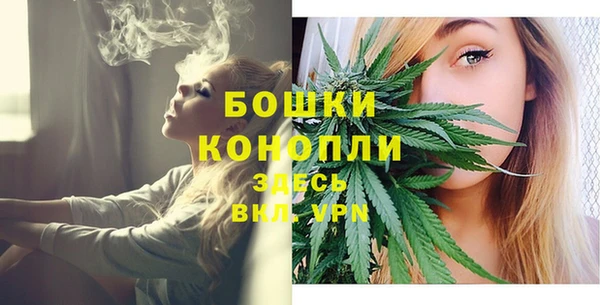 амф Новокубанск