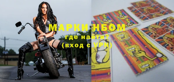 гидра Новозыбков