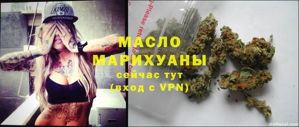 гидра Новозыбков