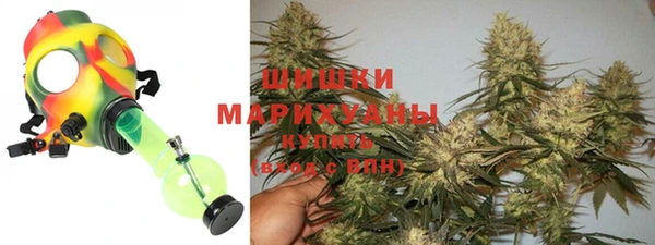 гидра Новозыбков