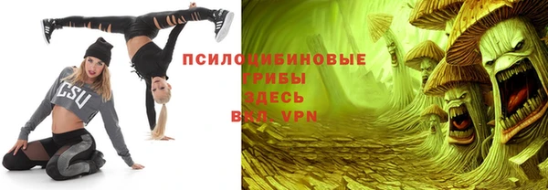 соль курить ск Новодвинск